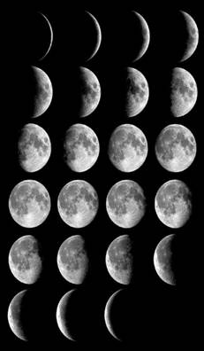 http://www.astro.virginia.edu/class/oconnell/astr121/im/moon-phases-lrg-cidadao-sm.jpg